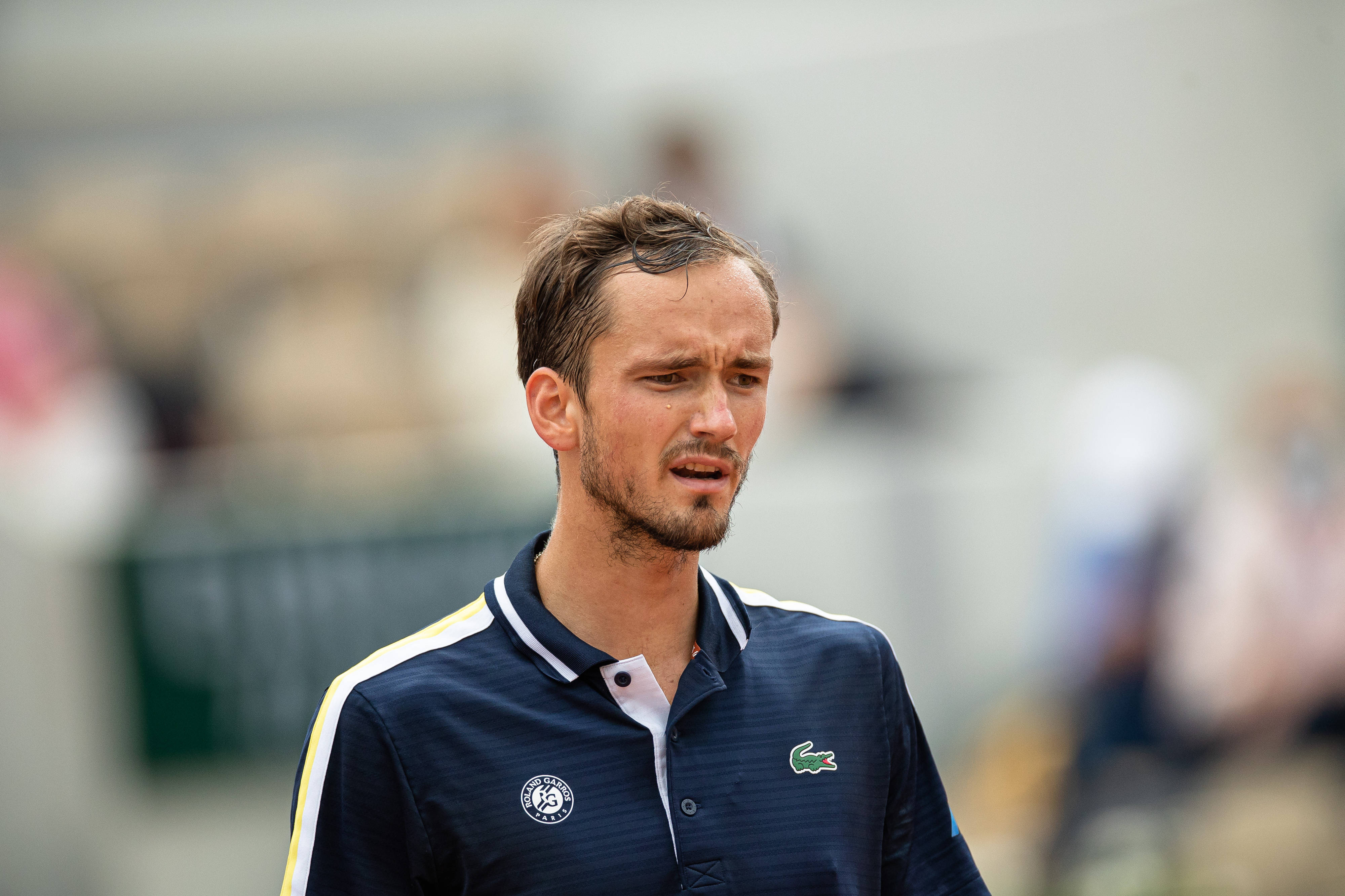 包含德国网球队强势美国网球队，梅德韦杰夫完成帽子戏法的词条