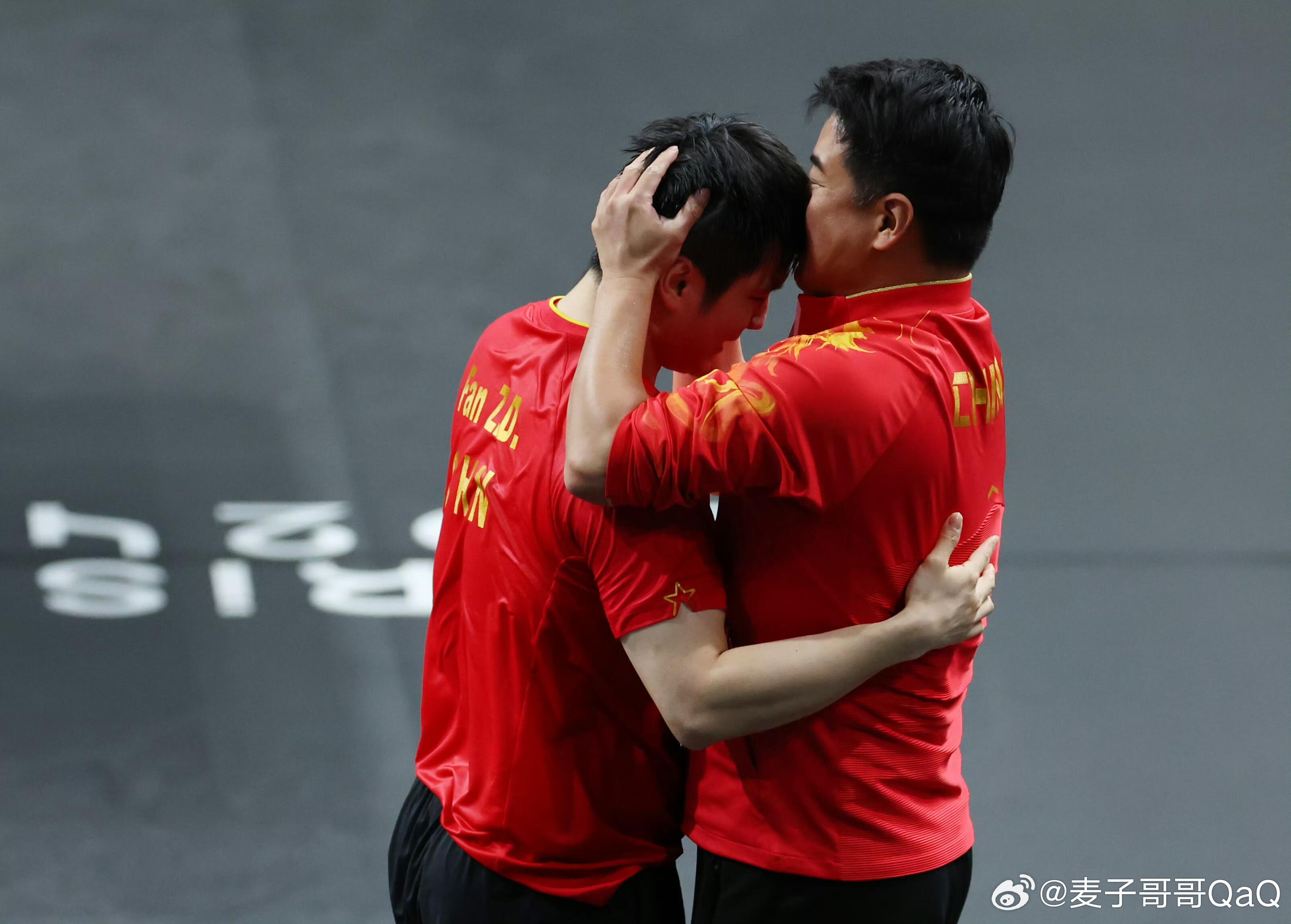 日本队鏖战波兰队，樊振东带队取胜