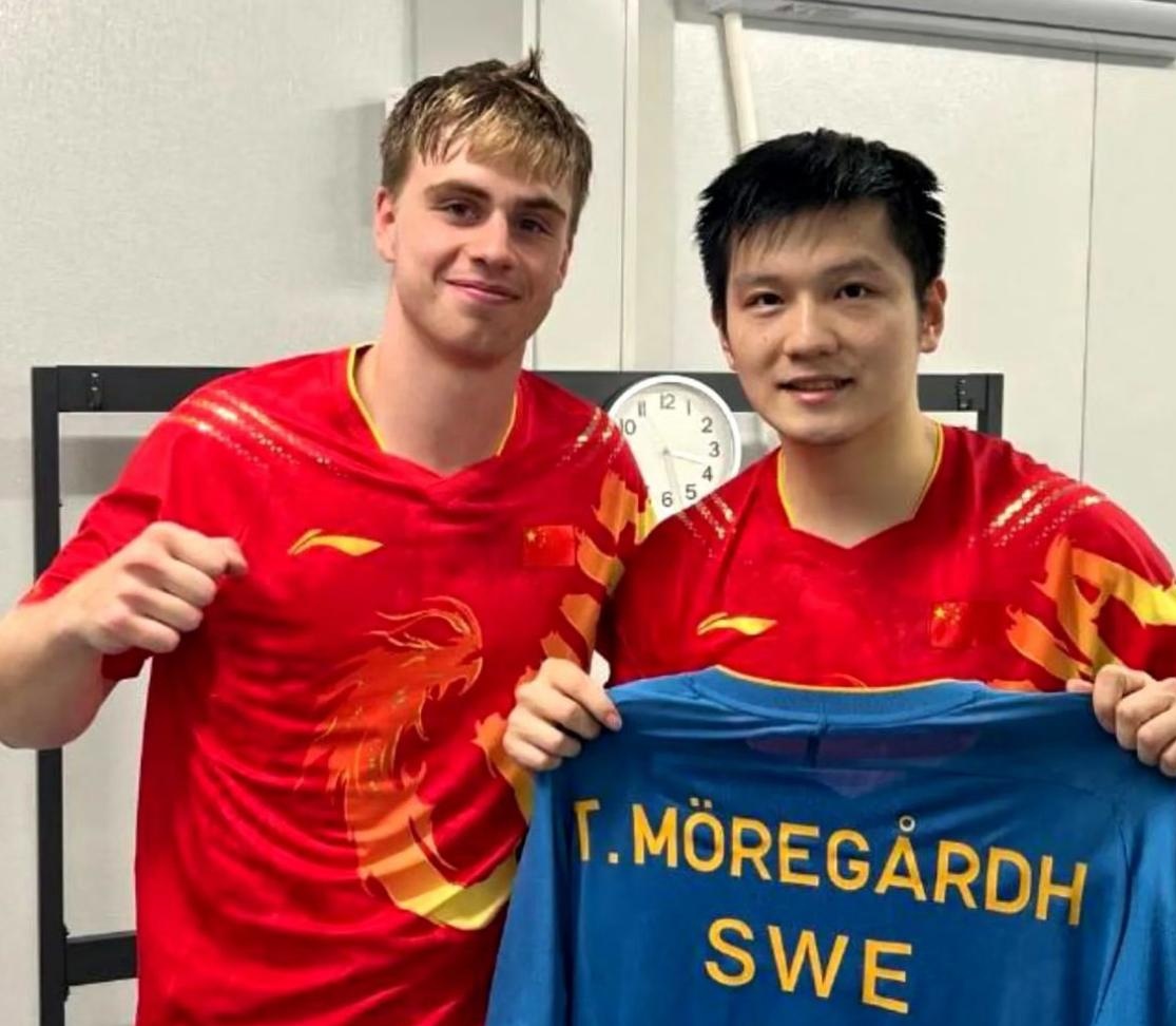 德国队险胜英格兰队，樊振东带队取胜