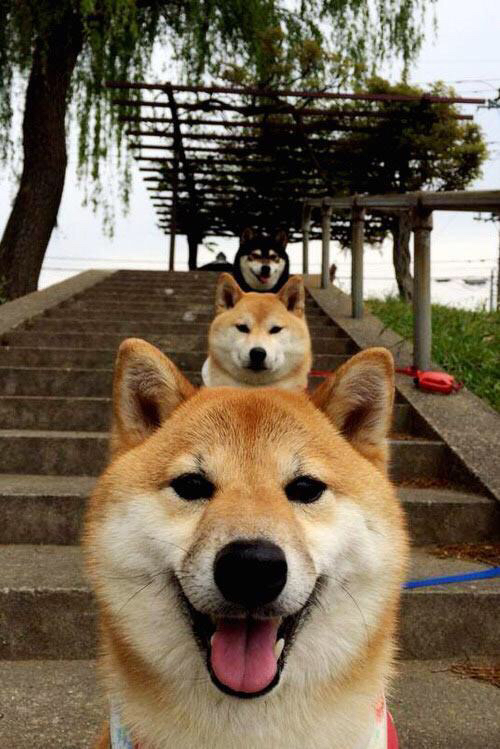 爵士战胜奇才，贝恩成关键先生扛起争冠旗帜