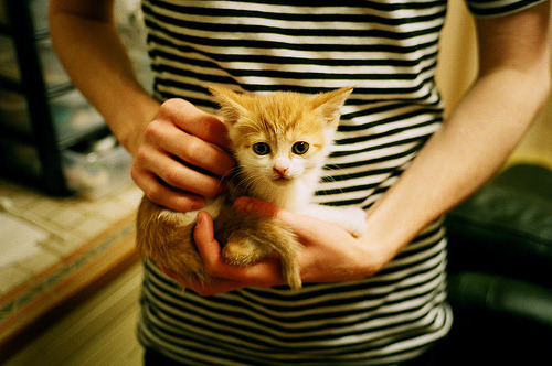 足球的多元宇宙,从安哥拉的坚韧到三笘薰的优雅