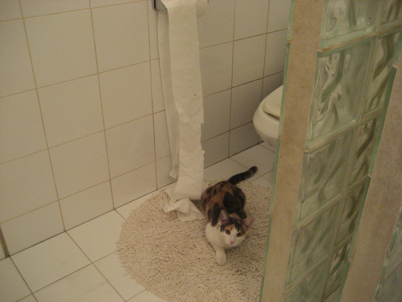 烈焰与寒铁，当太阳的炮火覆盖活塞，布伦森在德甲战场宣告王权