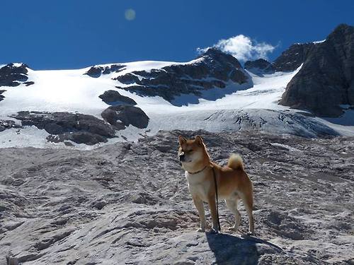 勒沃库森中国赛场强势晋级，厄德高关键先生闪耀全场