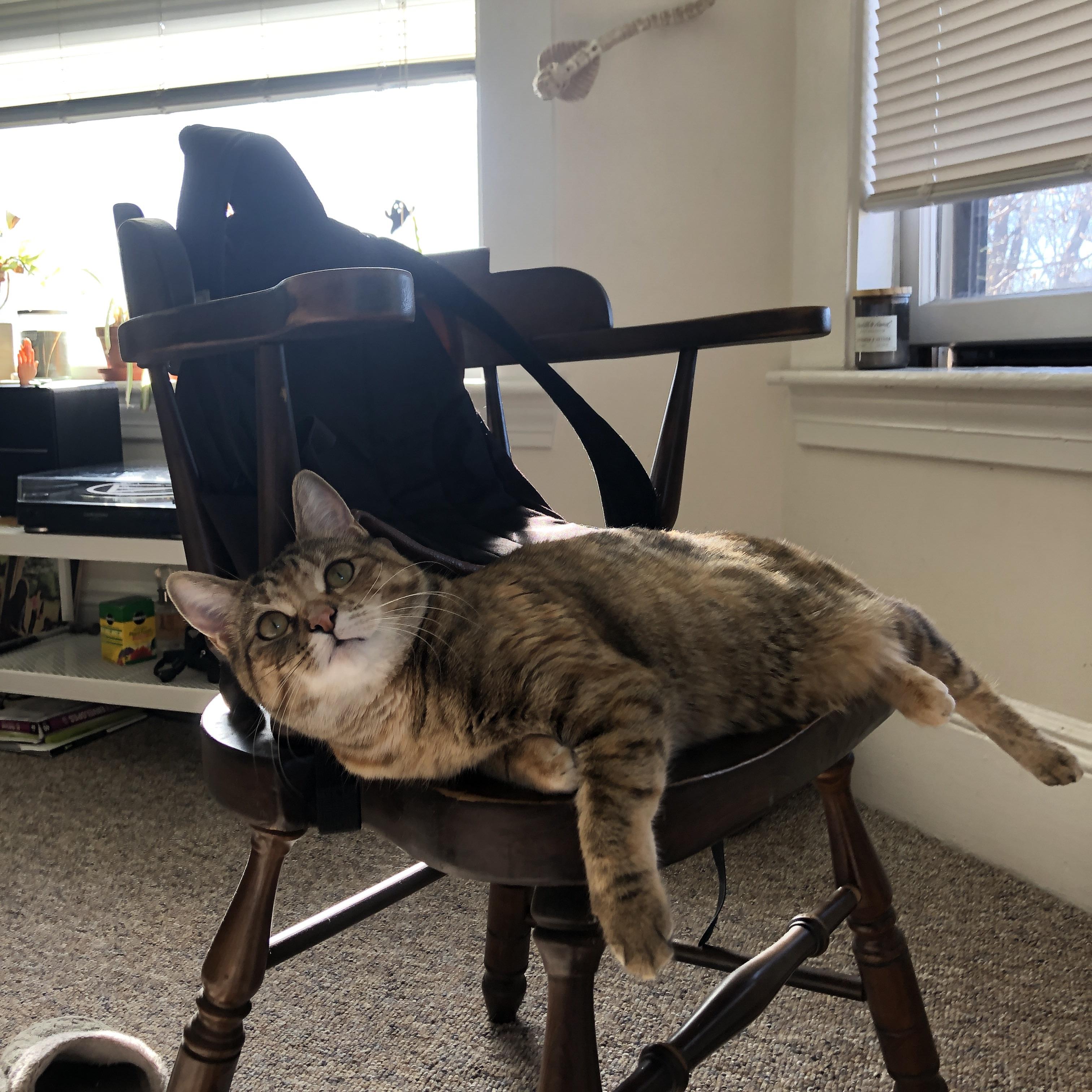 最后的哨响与全世界的目光，乔治高光之战点燃排名争夺夜