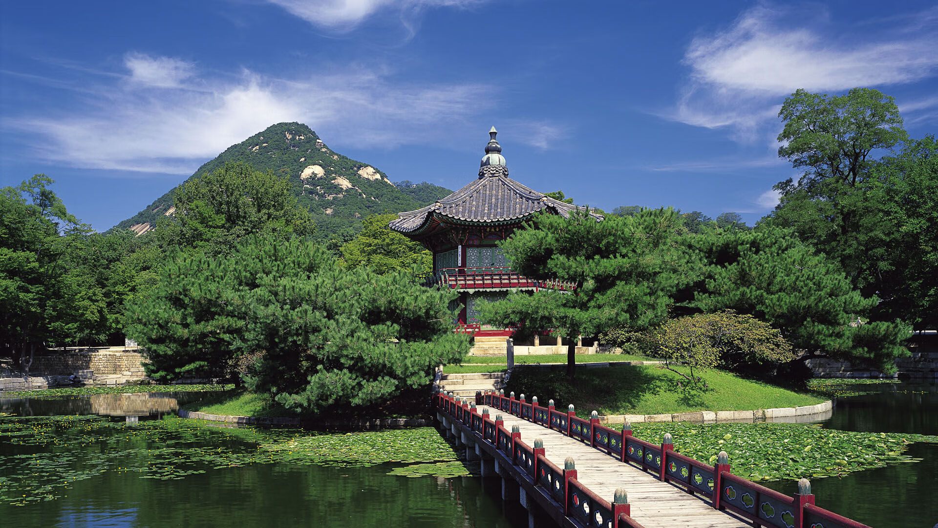 亚洲风暴与老将荣光，当日本掀翻葡萄牙，托尼在意甲战场宣告不朽