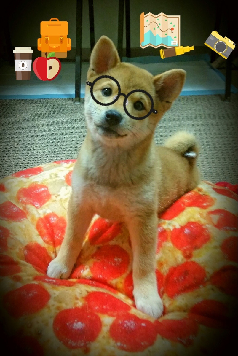 绝境刀刃，英格拉姆关键爆发，热火翻盘开拓者