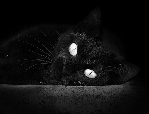 西甲国家德比焦点战与快船踏平上海队,全球体育盛宴的双重奏