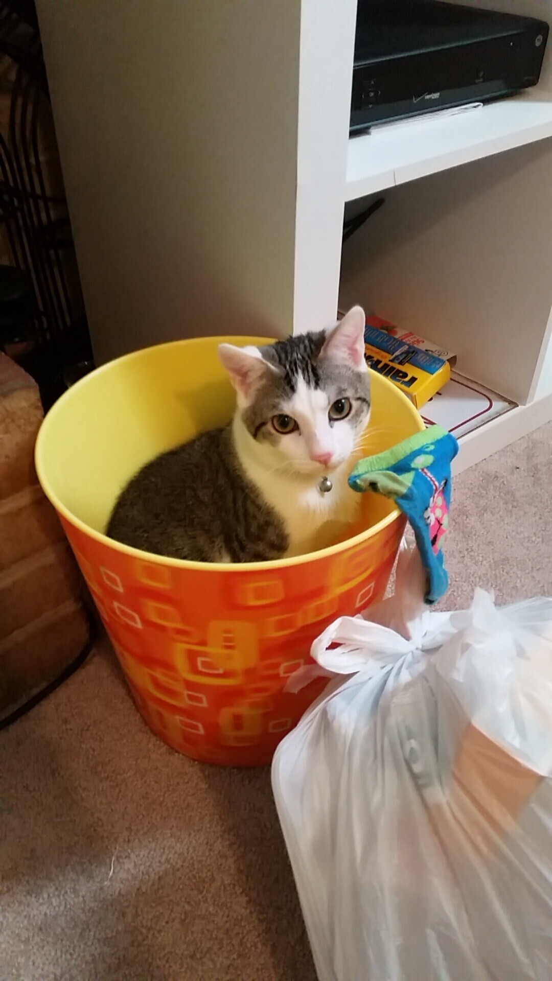 篮网鏖战晋级独行侠折戟,文班亚马美加墨世界杯展露统治力,世界篮球新纪元的双线叙事