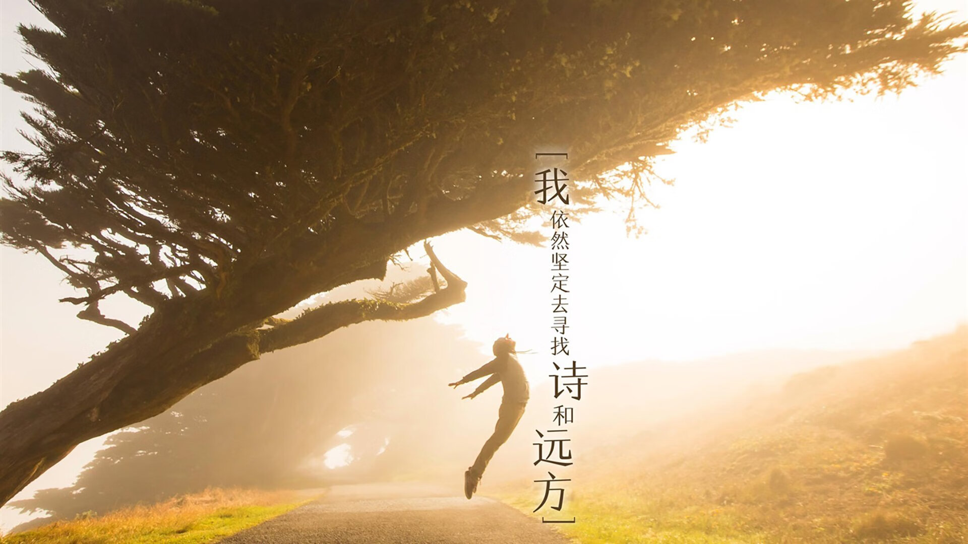 赛场无国界，从西决生死战到美阿对决，见证人类共通的热血与荣光