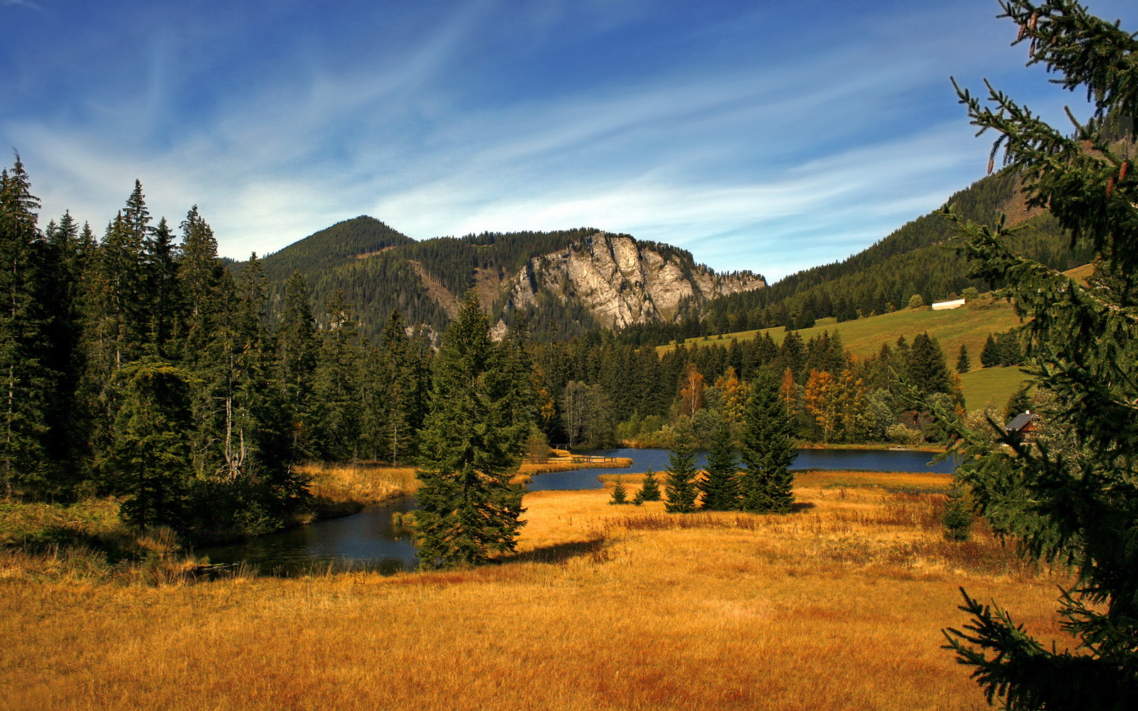 鏖战终见真章，克瓦拉茨赫利亚一锤定音，雷恩力克哥斯达黎加劲旅