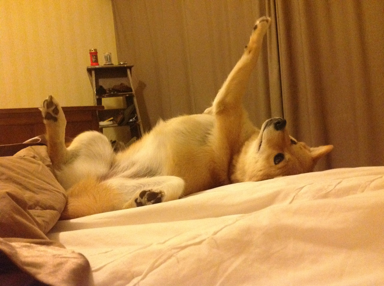 季后赛抢七焦点战,马刺末节一波流,强势带走山西队