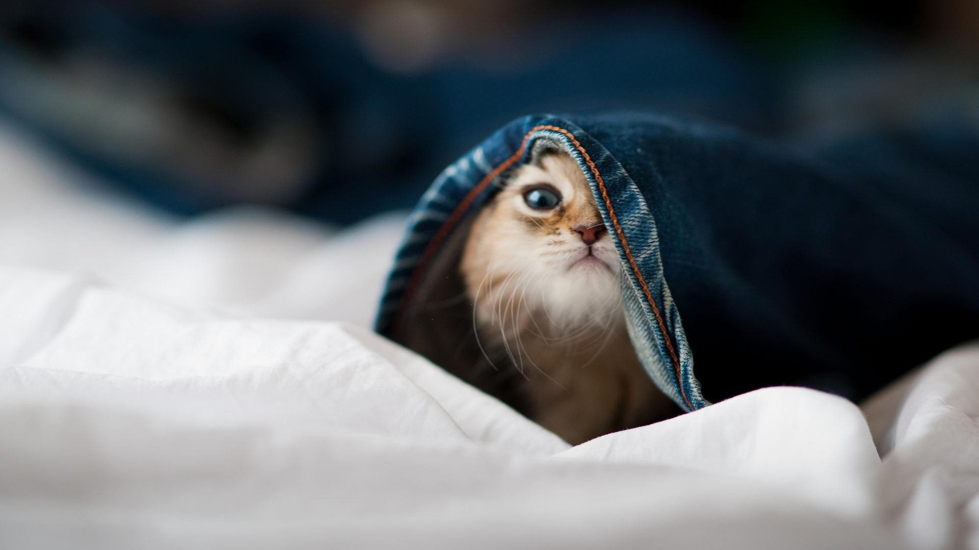 南粤德比烽烟起，小贾伦独揽风云