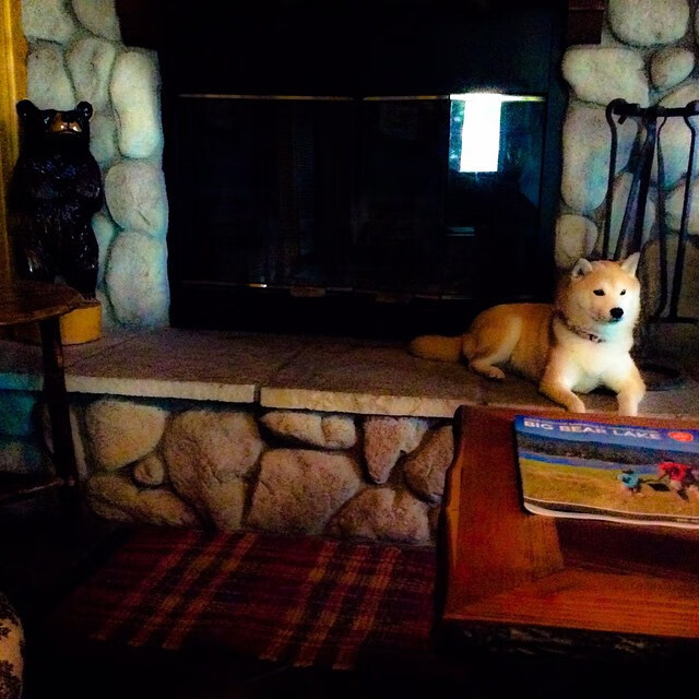 绿茵与赛道的双重奏，从F1年度最终章到智利的连续压制