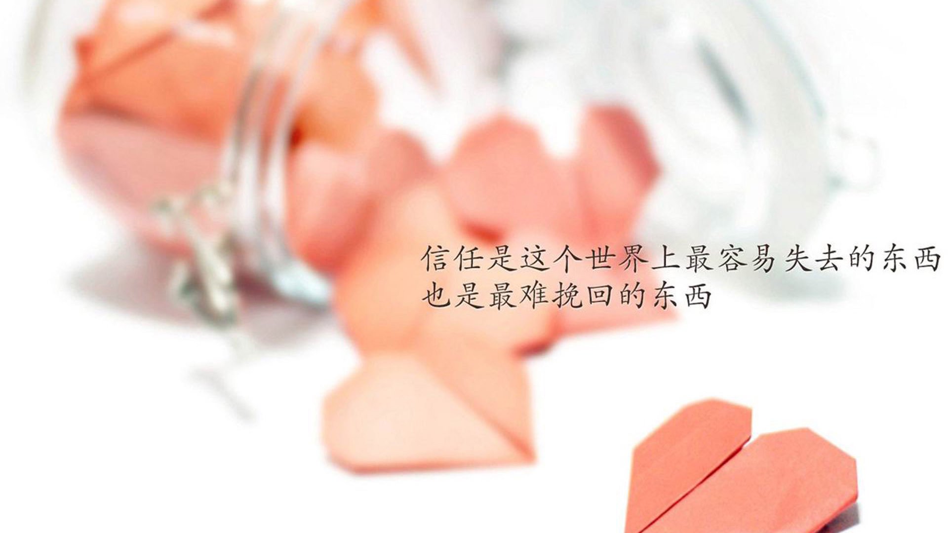 黄喜灿里程碑夜闪耀,爱尔兰爆冷击退荷兰—足球之夜的双重奏