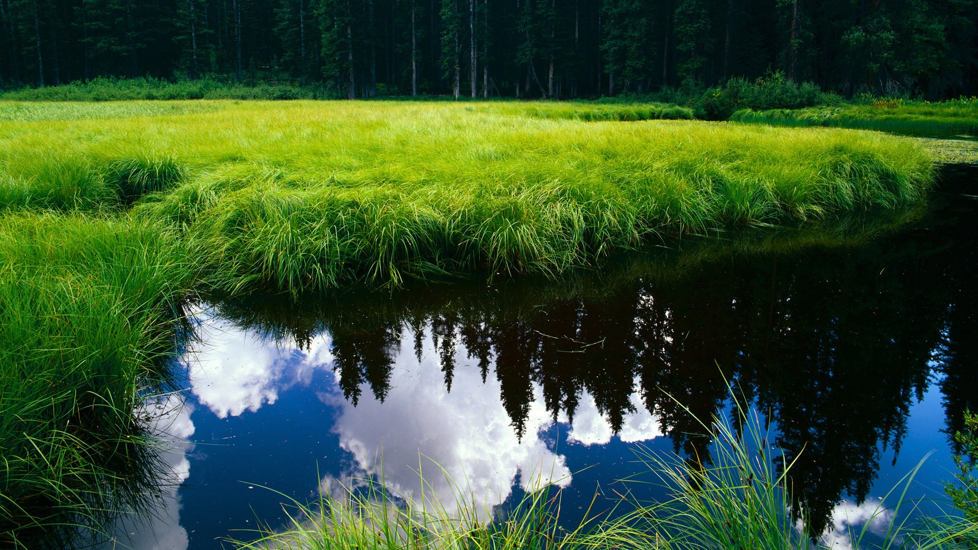 中场魔术师奥纳纳，比利时新大脑引领攻防革命，强势晋级剑指哥伦比亚