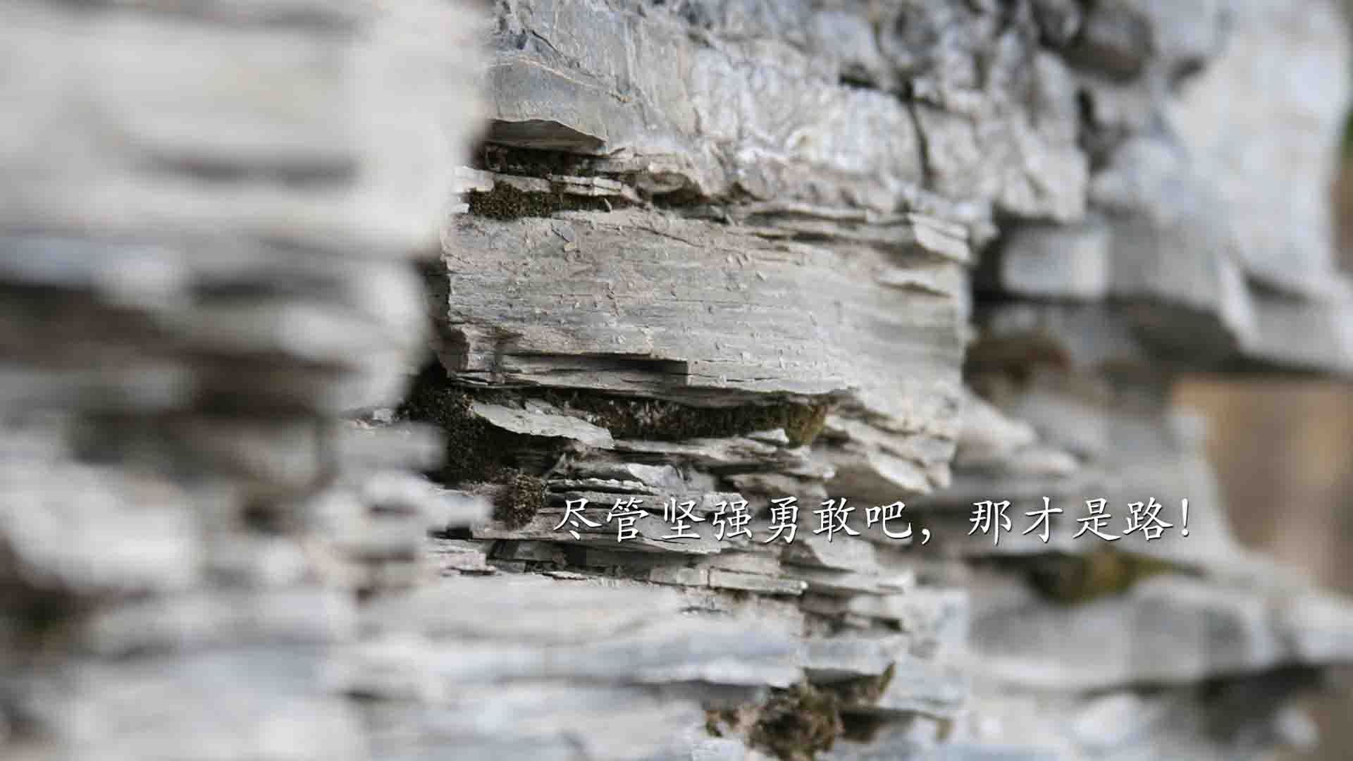 南非强势冲垮摩洛哥，世界排名争夺战迎转折点